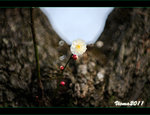 D3D_0356s