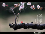 D3D_0386s