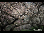 D3D_0415s