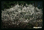 D3D_0512s