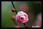 D3D_0569s