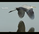 2021-06-26_09-20-05