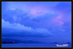 IMG_3529