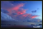 IMG_3531