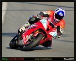 IMG_3383