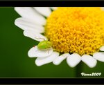 IMG_3632