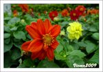 IMG_3633