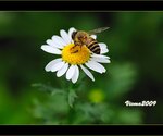 IMG_3635