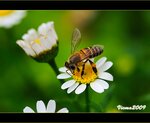 IMG_3637