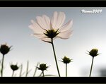 IMG_3639
