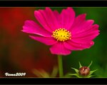 IMG_3640