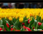 IMG_3650