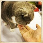 31947231510_2cce1713db_o