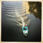 32205876921_4eba80ffa3_o