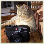 hipstaprint_36023226021_o