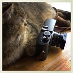 hipstaprint_36116607366_o