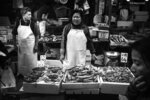 seafood-market_24247106324_o