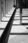 noon_31543065725_o