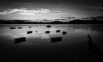 good-morning-sammuntsai_20024145820_o