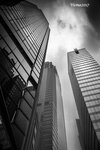 central_33936596785_o