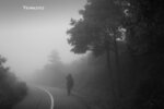 morning-mist_16706034379_o