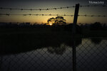 waiting-for-dawn_23202685343_o