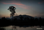 dawn_18798987564_o
