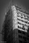 cobweb_25247354469_o