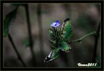 IMG_4911
