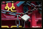 IMG_4920