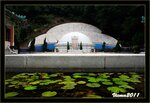 IMG_4926