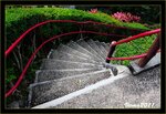 IMG_4948