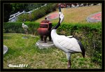 IMG_4951