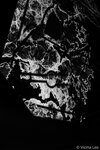 L9705871
