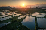 DJI_20250514183626_0008org