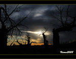 DS7_4297s