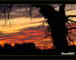 DS7_4398s