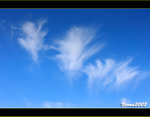 DS7_3065s