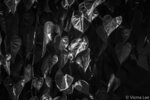 L9706847