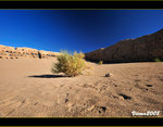 DS7_4934s