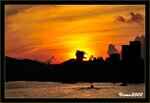 IMG_3136