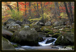 DS2_3183s