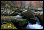 DS2_3204s
