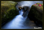 DS2_3206s