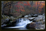 DS2_3219s