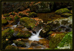 DS2_3288s