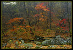 DS2_3307s