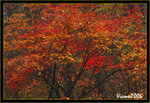 DS2_3324s