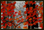 DS2_3395s
