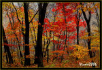 DS2_3409s